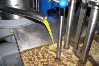 Workshop - Oliven&amp;#246;l, das fl&amp;#252;ssige Gold