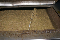 Workshop - Oliven&amp;#246;l, das fl&amp;#252;ssige Gold