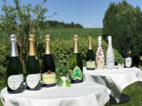 Workshop - Cava D.O. - Die prickelnde Alternative